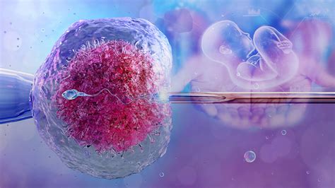 Základné kroky in vitro fertilizácie (IVF)