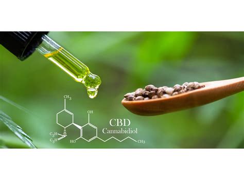 Zloženie konopy a rozdiely medzi THC a CBD