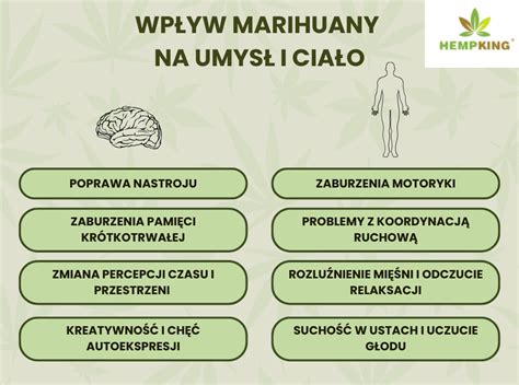Diagram vplyvu marihuany na mužský reprodukčný systém