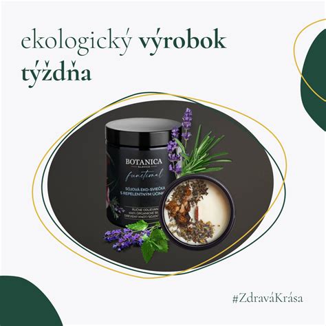 Obrázok rôznych bylín používaných v urologických čajoch
