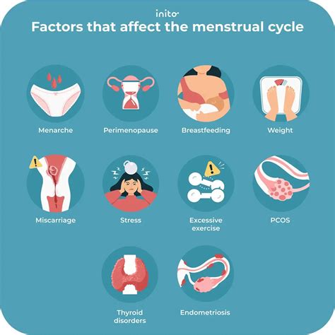 Factors affecting menstrual cycle