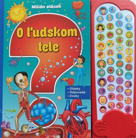 ilustrácia obličiek v ľudskom tele