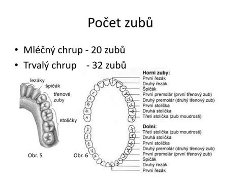 Detský chrup s ortodontickým aparátom