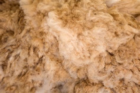 Porovnanie materiálov fusakov (ovčia vlna, páperie, syntetika)