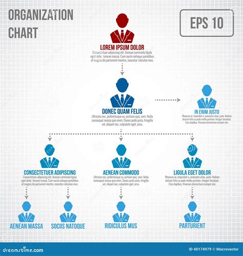 Organizational chart representing employee structure