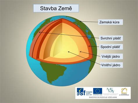 Schéma maternice s vyznačenými vrstvami