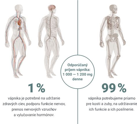 Ilustrácia cyklu ketózy v ľudskom tele