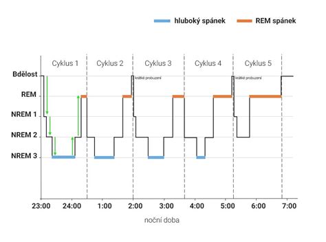 Graf porovnávajúci spánkové cykly dieťaťa a dospelého