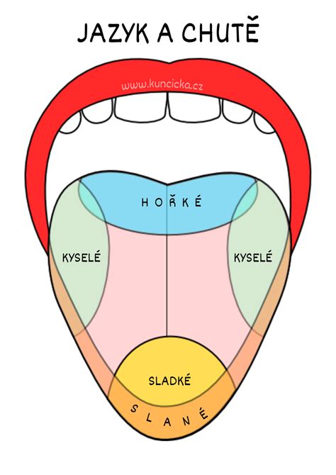 Diagram uzdičky jazyka