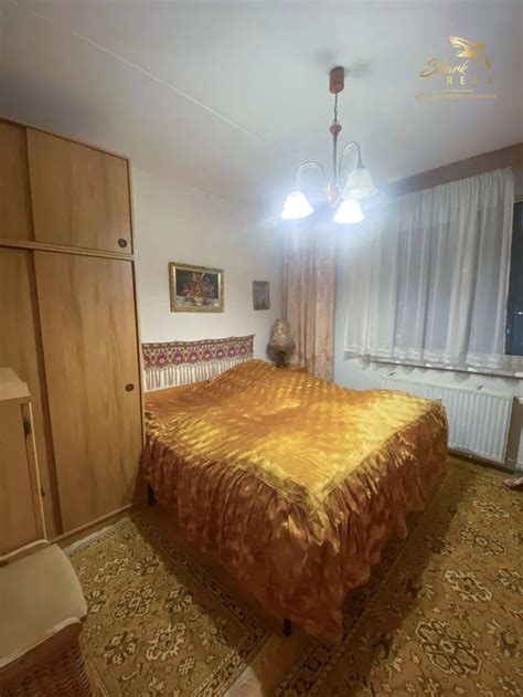 Kočík v mestskej ulici