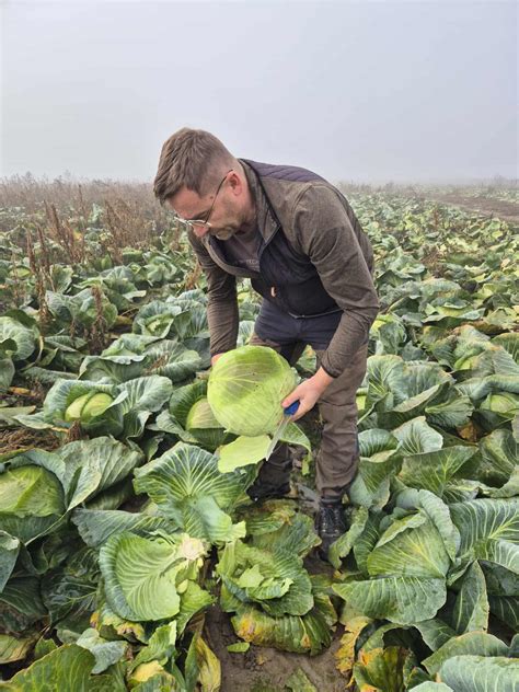 Bábätko si samé berie jedlo do rúk