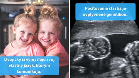 Ilustrácia vzniku jednovaječných a dvojvaječných dvojčiat