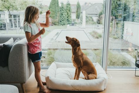 Dieťa hladkajúce psa