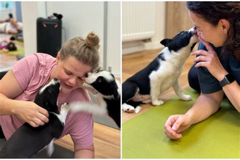 Deti s opustenými šteniatkami