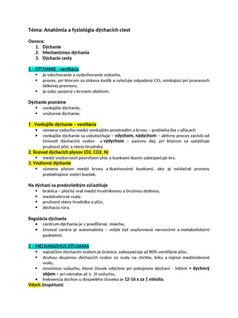 Ilustrácia dýchacích ciest s hlienom