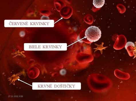 Ilustrácia znázorňujúca krvné doštičky a zrážanie krvi