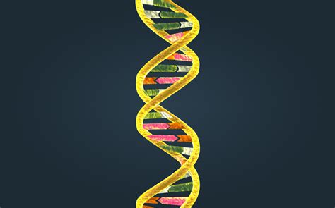 Schematické znázornenie DNA s vyznačenou mutáciou
