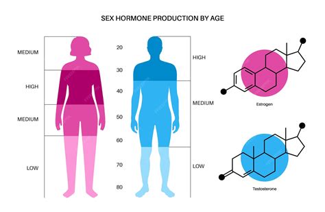infografika o hormonálnej rovnováhe ženy