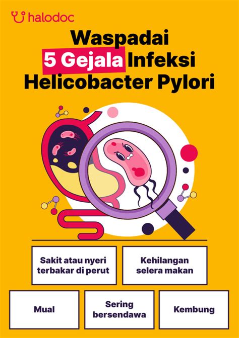 Infografika zobrazujúca rôzne metódy diagnostiky Helicobacter pylori
