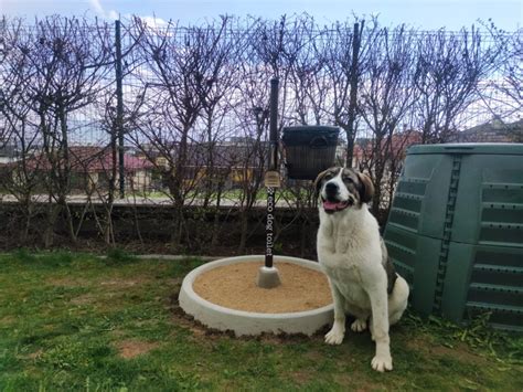 Fotografia rôznych modelov ECO DOG TOILET