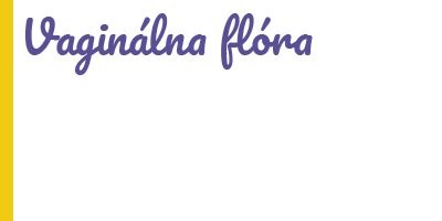 Vaginálna flóra