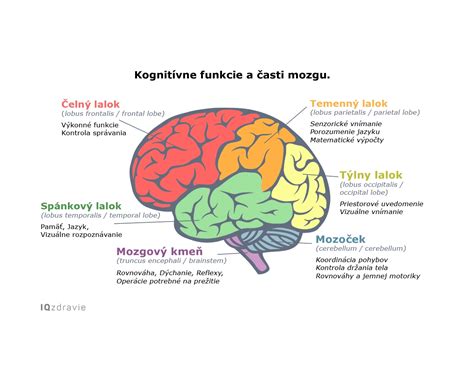 Infografika zobrazujúca rôzne typy rastúcich fusakov a ich funkcie