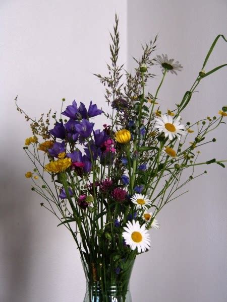 Kytica lúčnych kvetov