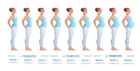 Zmeny v tele ženy v 8. týždni tehotenstva