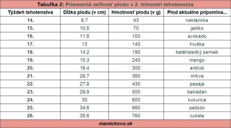 Schéma zobrazujúca rast plodu v treťom trimestri