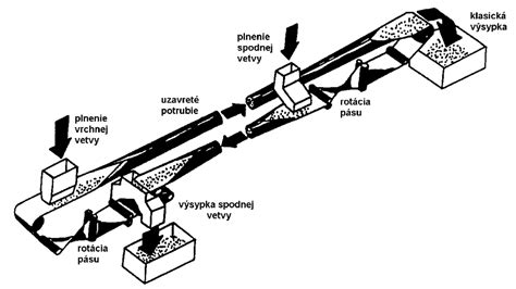 Schematické znázornenie vajíčkovodu a jeho funkcie