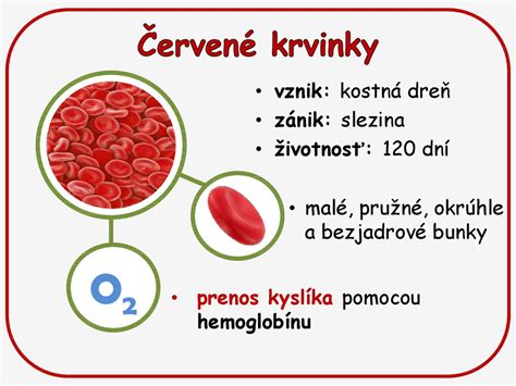 Infografika porovnávajúca zdravé a anemické červené krvinky