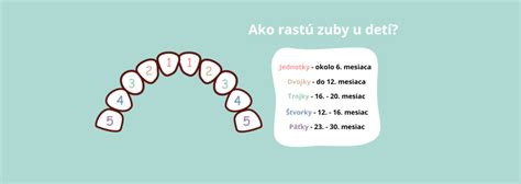 Diagram rastu mliečnych zubov