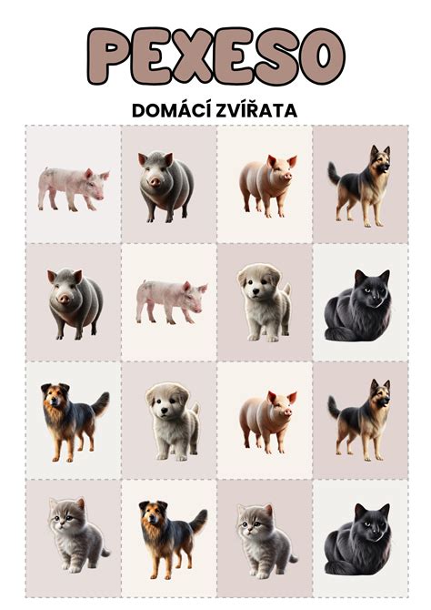 Logopéd pracuje s dieťaťom hravou formou