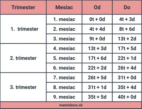 Ilustrácia kalendára zobrazujúca týždne tehotenstva
