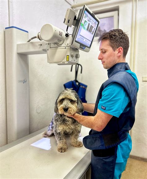 Röntgenové vyšetrenie