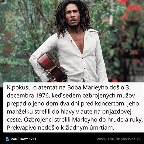 Portrét Boba Marleyho s gitarou