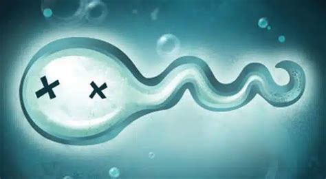 Mužská plodnosť - spermie