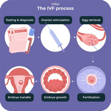 Diagram znázorňujúci kroky IVF