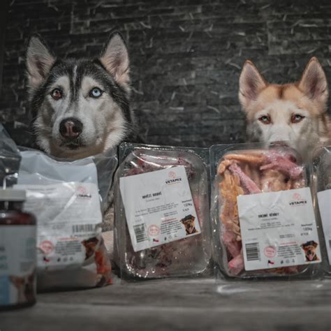 Misky s rôznymi druhmi mäsa a zeleniny pre psa