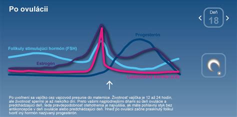 Schematické znázornenie uhniezďovania oplodneného vajíčka