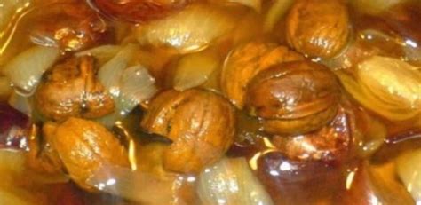 Ilustrácia cibule a medu