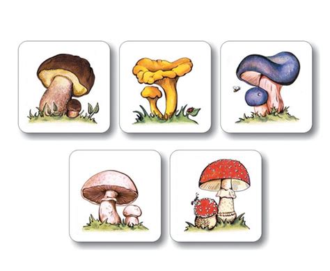 Ilustrácia znázorňujúca rôzne druhy jedovatých húb