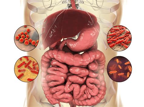 Ilustrácia prenosu črevnej virózy fekálno-orálnou cestou