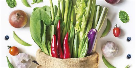 Ilustrácia rôznych druhov rýb a zeleniny