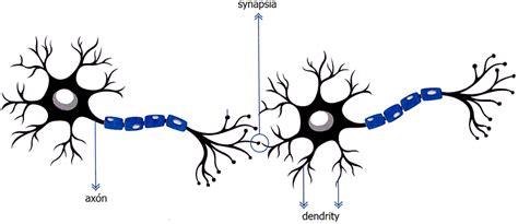 Ilustrácia znázorňujúca mozog s aktívnymi neurónmi