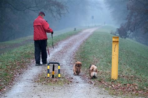 Matka dojčí staršie dieťa, zatiaľ čo je tehotná