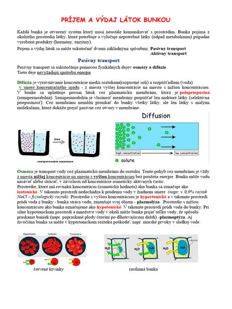 Diagram zobrazujúci priemerný denný príjem tekutín a výdaj moču