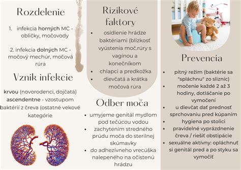 Diagram zobrazujúci šírenie infekcie močových ciest u detí