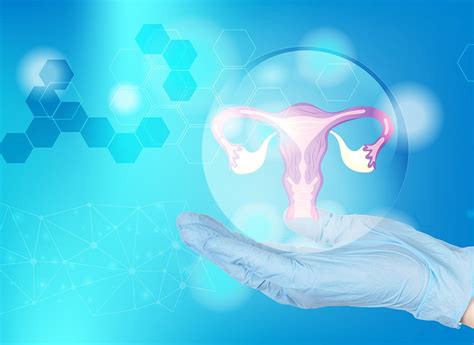 Diagram znázorňujúci implantáciu embrya do maternicovej sliznice