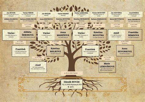 Rodinný strom s označením manželských a nemanželských potomkov